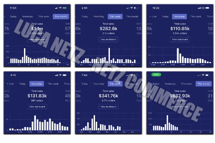 Luca Netz - Advanced Dropshipping Download